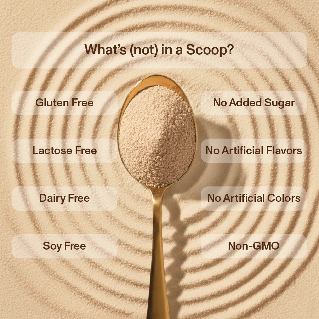 Supercharged Plant Protein - Mocha Fudge Flavour