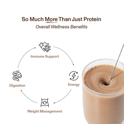 Supercharged Plant Protein- Pack of 4 (2kg)